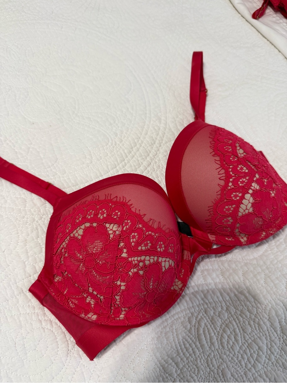 Fashion Show 2015 Rare Victoria's Secret Red Lace Bra 34D Vintage
